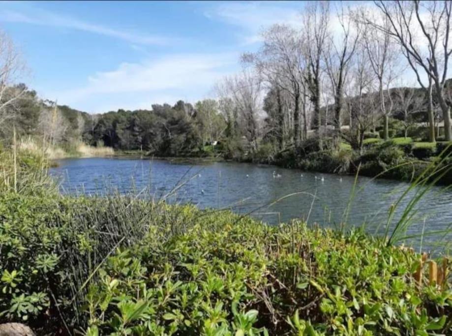 Duplex T3 Avec Jardin, Bord De Mer Et Parking Six-Fours-les-Plages Extérieur photo