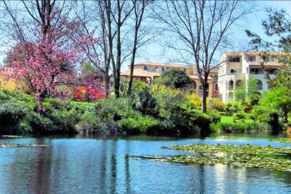 Duplex T3 Avec Jardin, Bord De Mer Et Parking Six-Fours-les-Plages Extérieur photo